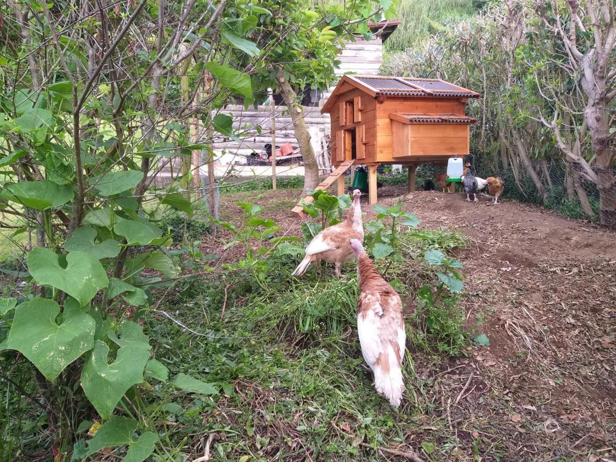 Quinta Da Pavoa - Cottage House Віла-Франка-ду-Кампу Екстер'єр фото