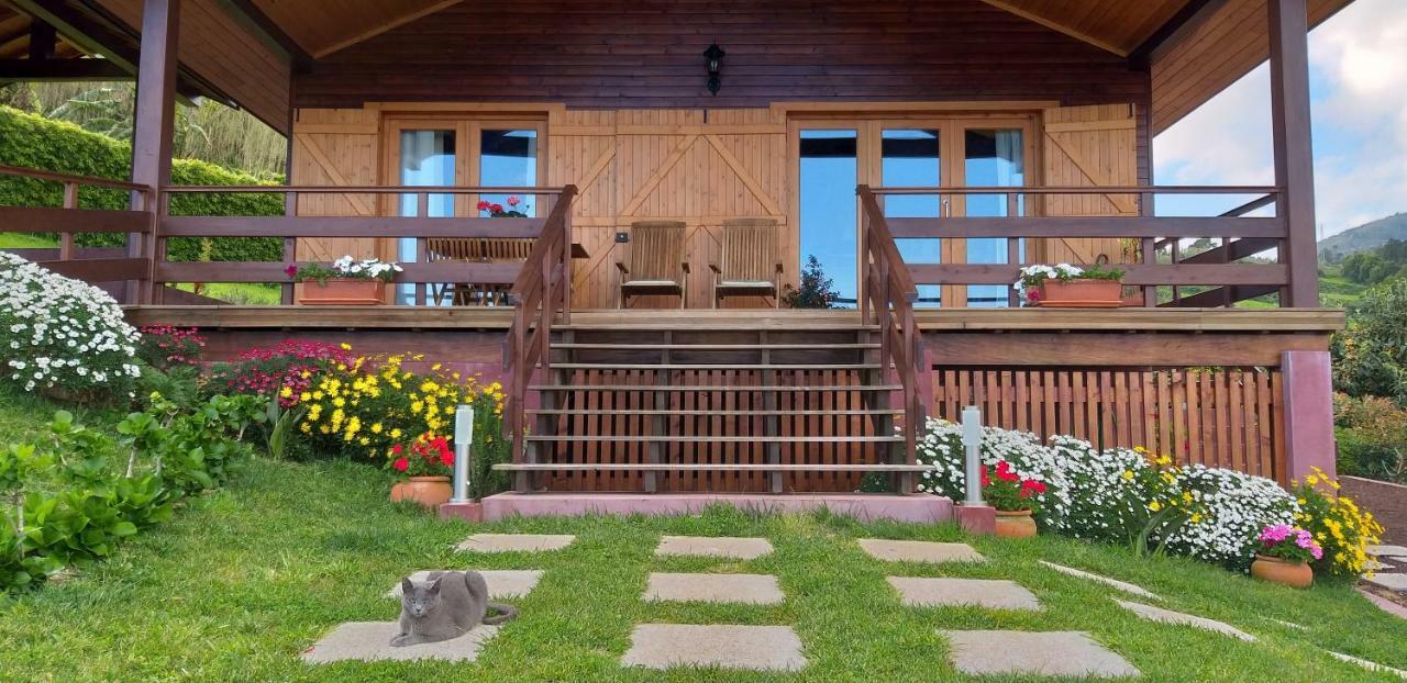 Quinta Da Pavoa - Cottage House Віла-Франка-ду-Кампу Екстер'єр фото