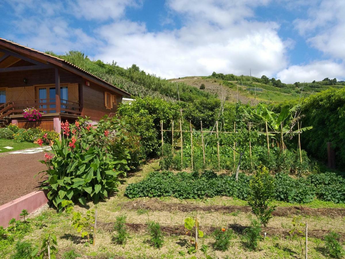Quinta Da Pavoa - Cottage House Віла-Франка-ду-Кампу Екстер'єр фото